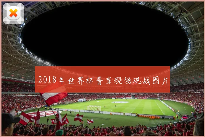 2018年世界杯普京现场观战图片